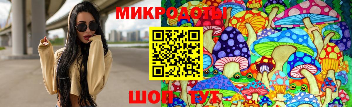 Ленинск-Кузнецкий  Псилоцибиновые грибы прущие грибы  Вход с VPN 